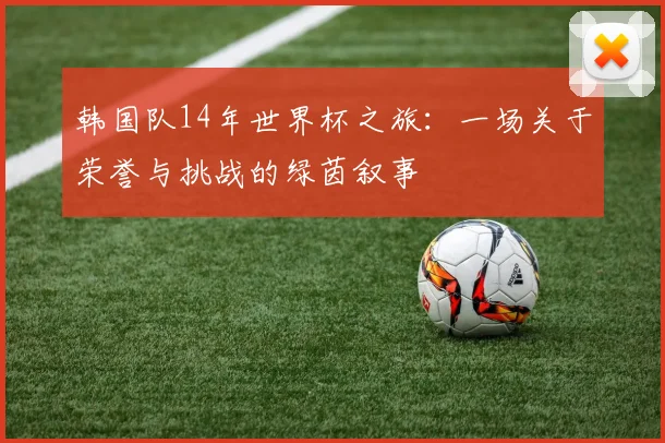 韩国队14年世界杯之旅：一场关于荣誉与挑战的绿茵叙事