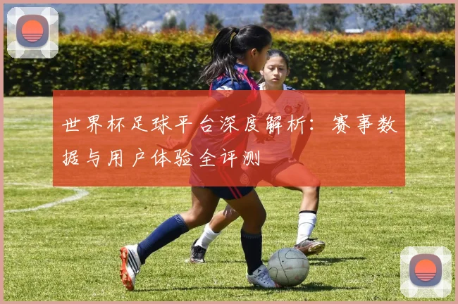 世界杯足球平台深度解析：赛事数据与用户体验全评测