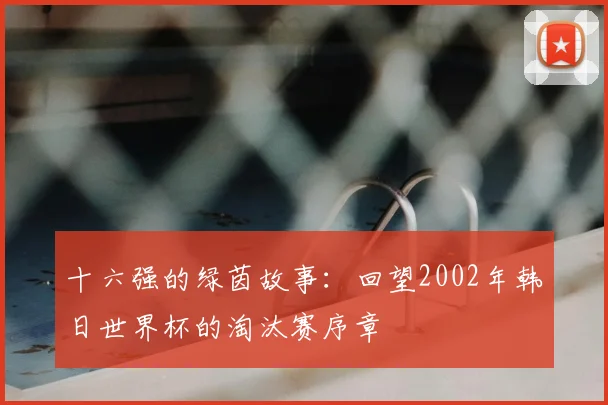 十六强的绿茵故事:回望2002年韩日世界杯的淘汰赛序章