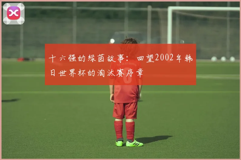 十六强的绿茵故事:回望2002年韩日世界杯的淘汰赛序章