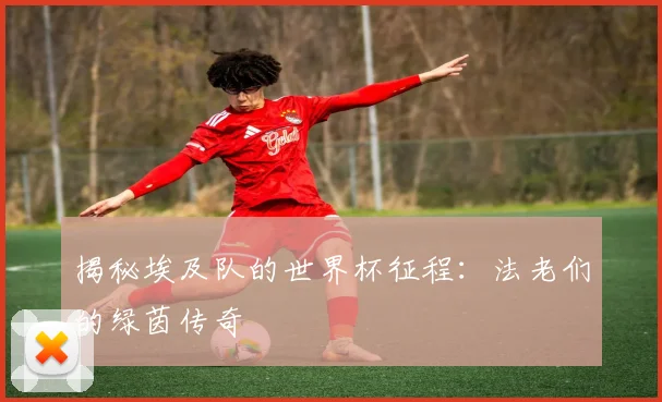 揭秘埃及队的世界杯征程：法老们的绿茵传奇