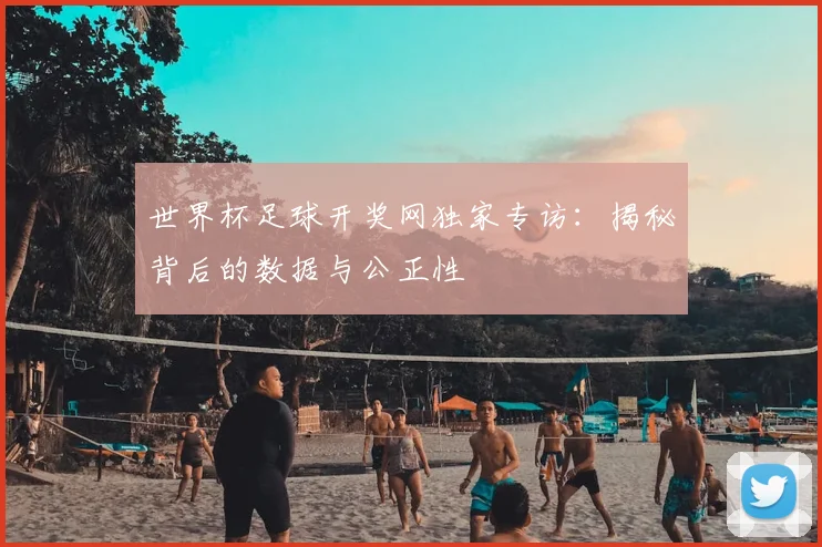 世界杯足球开奖网独家专访:揭秘背后的数据与公正性