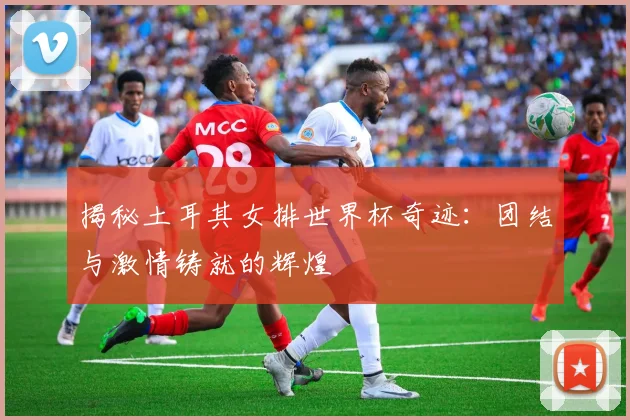 揭秘土耳其女排世界杯奇迹：团结与激情铸就的辉煌