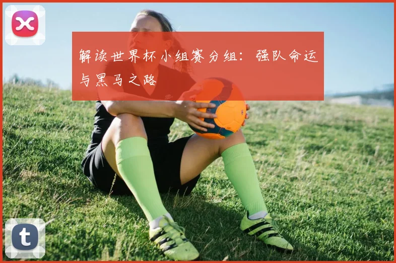 解读世界杯小组赛分组：强队命运与黑马之路