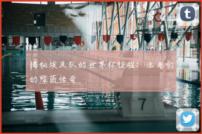 揭秘埃及队的世界杯征程：法老们的绿茵传奇